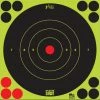 Pro-Shot SplatterShot 17.25 Inch Green Bullseye Target - 5 Pack - Long Range-17.25-5PK - Shooting Supplies