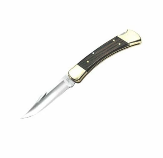 Buck Knives Buck 110 Folding Hunter Knife - Knives