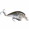 Strike King KVD Square Bill Silent Crankbait HCKVDS1.0-699 - Baits & Lures