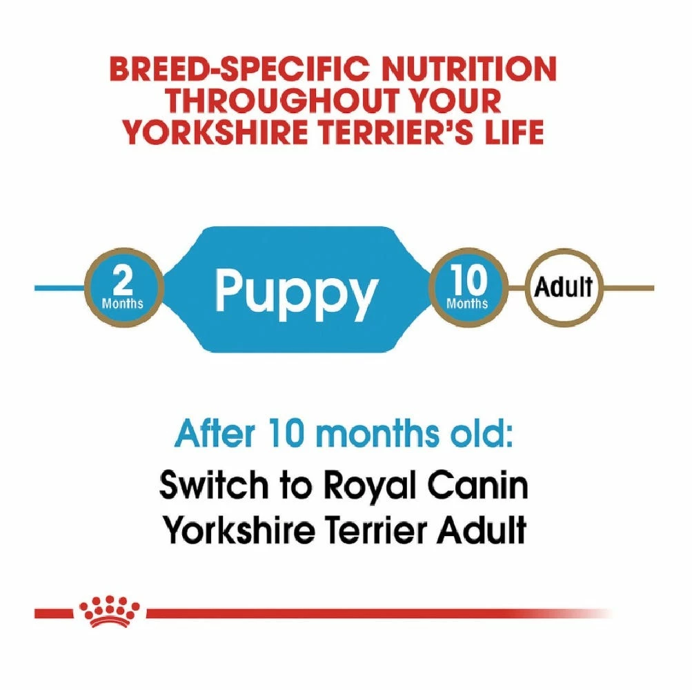 Royal Canin Breed Health Nutrition Yorkshire Terrier Puppy Dry Dog Food, 2.5 lb. Bag - Water Bottles & Hydration - Image 6