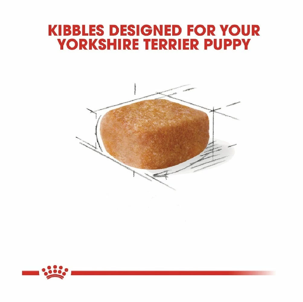 Royal Canin Breed Health Nutrition Yorkshire Terrier Puppy Dry Dog Food, 2.5 lb. Bag - Water Bottles & Hydration - Image 4