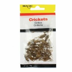 Magic Products Magic Preserved Crickets - MP5231 - Baits & Lures